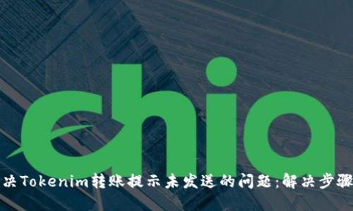 如何解决Tokenim转账提示未发送的问题：解决步骤与技巧
