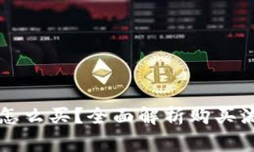 法定数字货币怎么买？全面解析购买流程与注意事项