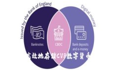如何安全高效地存储CVP数