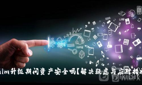Tokenim升级期间资产安全吗？解决疑虑与应对措施详解