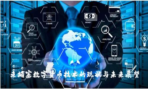 柬埔寨数字货币技术的现状与未来展望