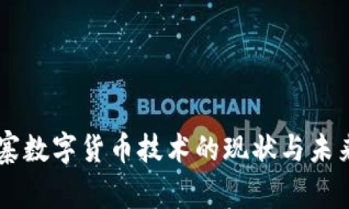 柬埔寨数字货币技术的现状与未来展望