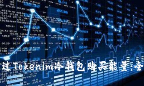 如何通过Tokenim冷钱包购买能量：全面指南