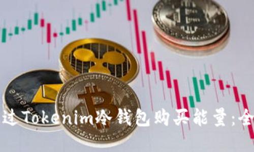 如何通过Tokenim冷钱包购买能量：全面指南