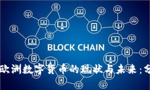 深入探索欧洲数字货币的现状与未来：分析师视角