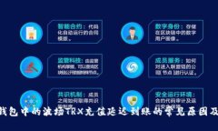 Tokenim钱包中的波场TRX充值延迟到账的常见原因及