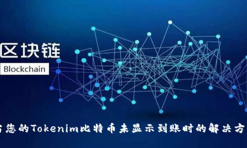 当您的Tokenim比特币未显示到账时的解决方案