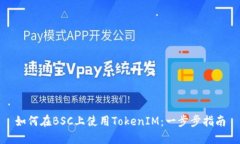 如何在BSC上使用TokenIM：一步步指南