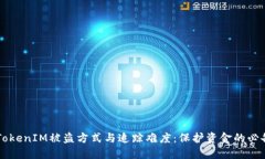 了解TokenIM被盗方式与追踪