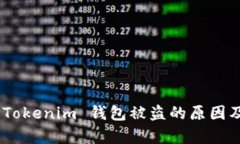 深入解析：Tokenim 钱包被盗的原因及防范措施