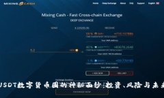 揭开USDT数字货币圈的神秘面纱：投资、风险与未