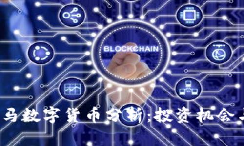 2020年黑马数字货币分析：投资机会与市场前景