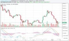 数字货币代码填写指南：全面解析与实用技巧