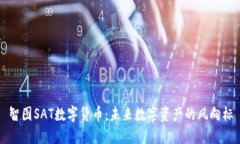 智图SAT数字货币：未来数字资产的风向标