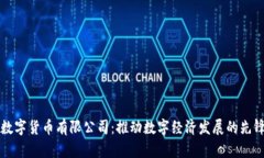 湖南数字货币有限公司：推动数字经济发展的先