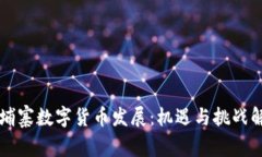 柬埔寨数字货币发展：机遇与挑战解析