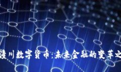 庞潼川数字货币：未来金融的变革之路